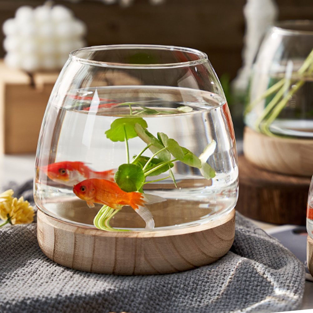 Aquarium Plants - 1Set Wooden Base Glass Hydroponic Planter