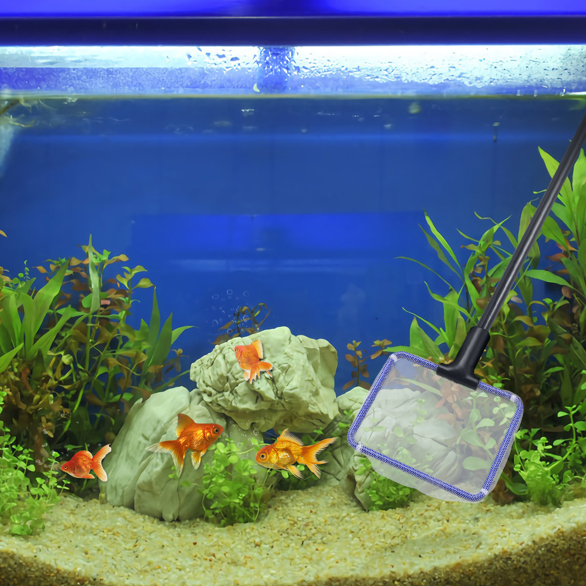 Aquarium Plant Gravel - Aquarium Fish Tank Cleaning Kit 5