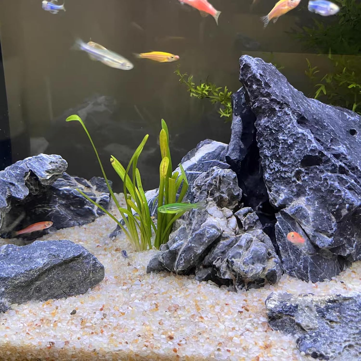 5lb Aquarium Silica Sand 0.4-0 - Aquarium Plant Gravel 评论和价格