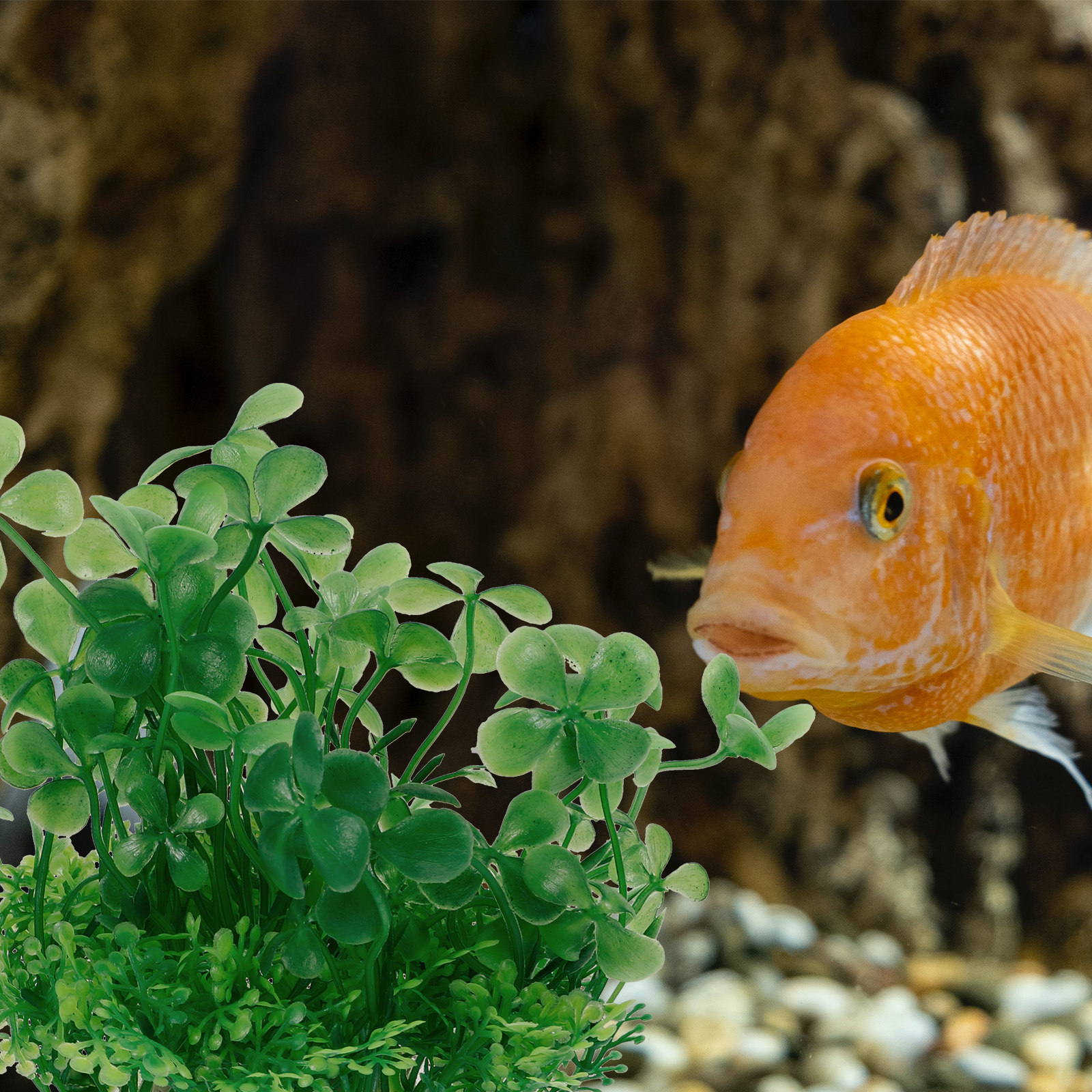 Premium Plastic Aquarium Plant - Aquarium Planted Tank Setup 评论和价格