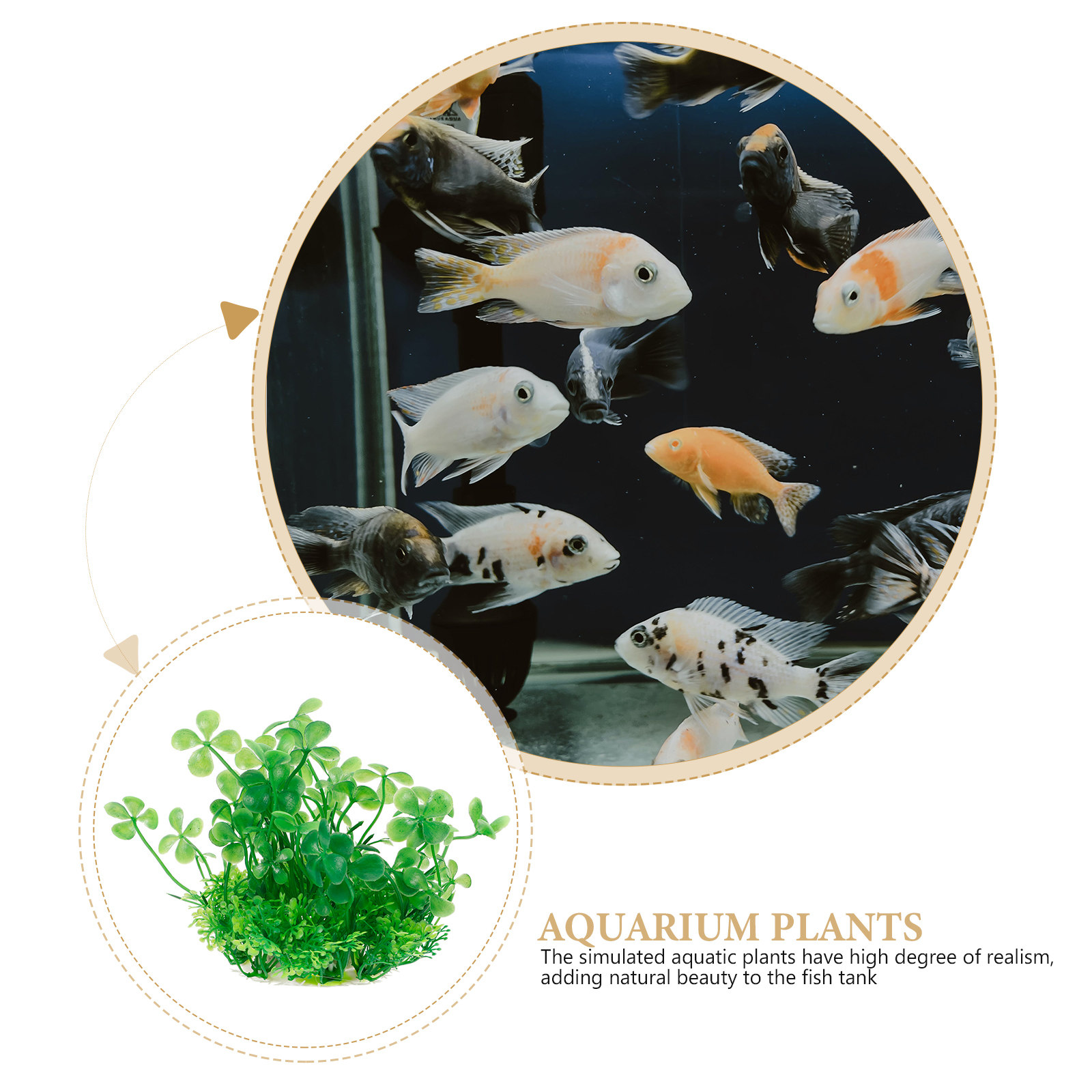 Premium Plastic Aquarium Plant - Aquarium Planted Tank Setup 评论和价格