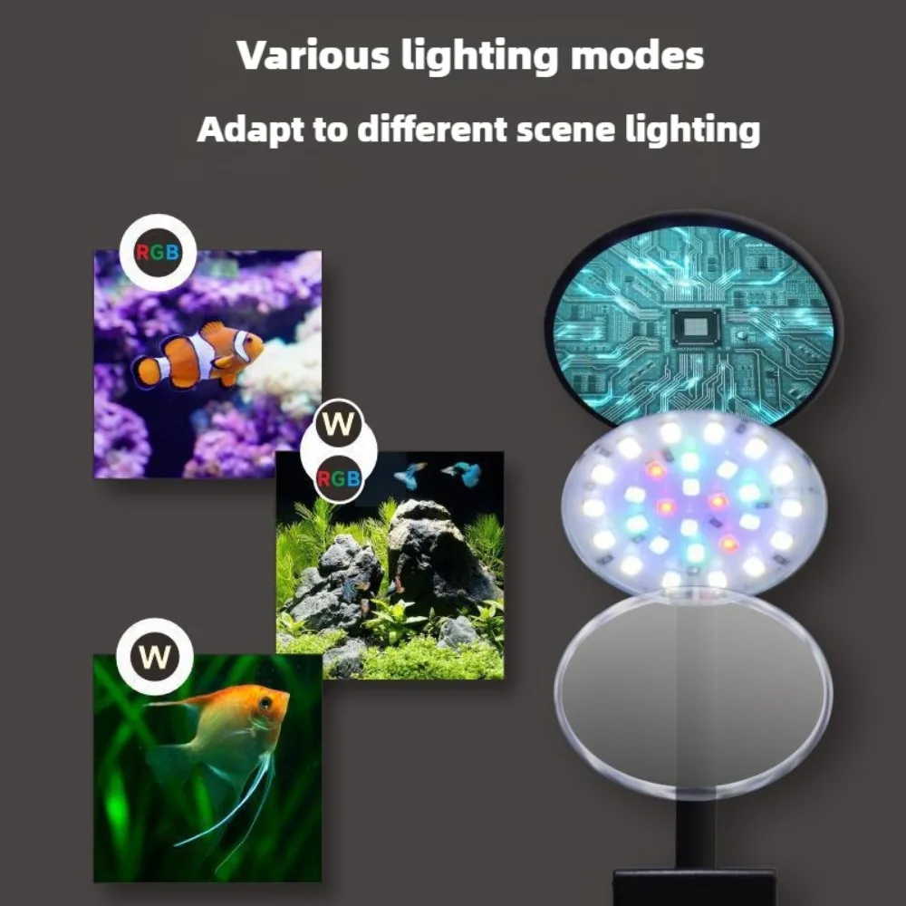 Clip on LED Aquarium Light Dim - Planted Aquarium Freshwater 评论和价格
