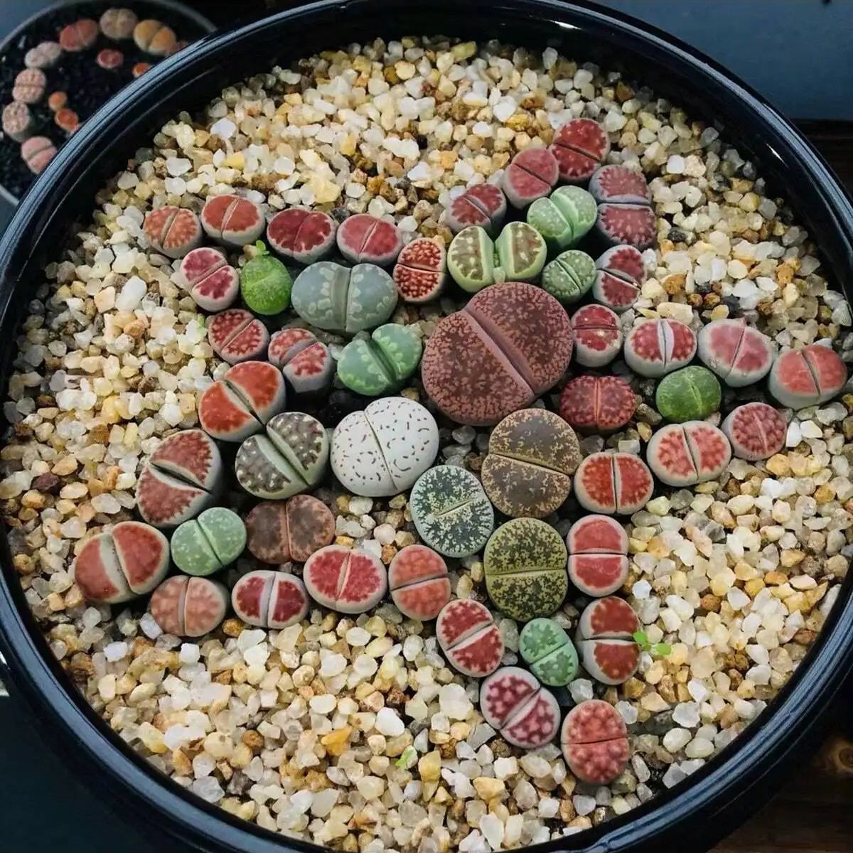 1pc-250g Natural Crystals Grav - Aquarium Plant Gravel 评论和价格