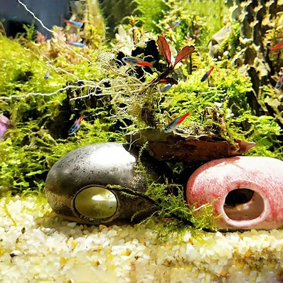 1pc-250g Natural Crystals Grav - Aquarium Plant Gravel 评论和价格