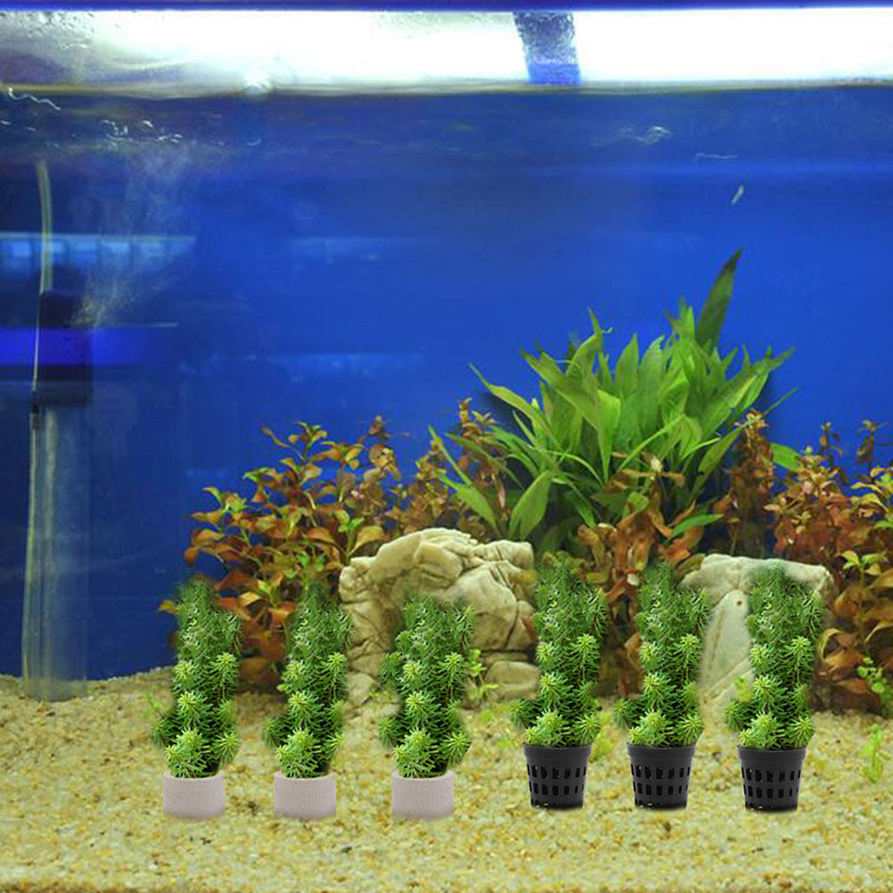 1Set Aquarium Water Plant Fixi - Aquarium Planted Tank Setup 评论和价格