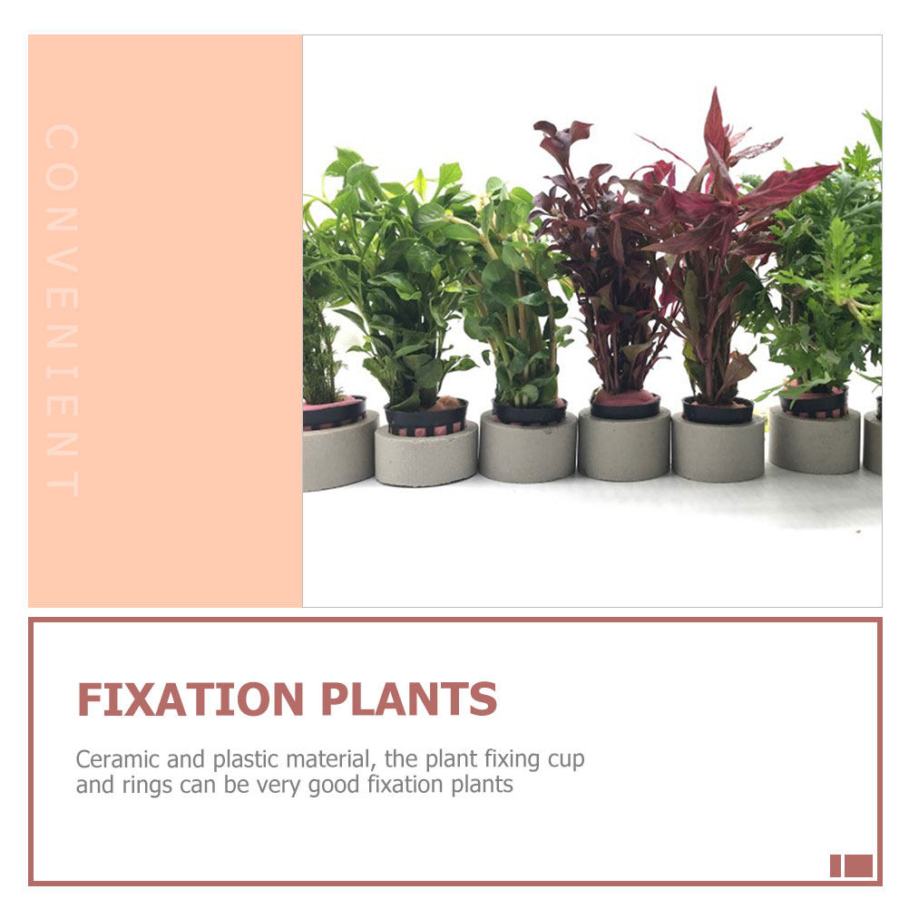 1Set Aquarium Water Plant Fixi - Aquarium Planted Tank Setup 评论和价格
