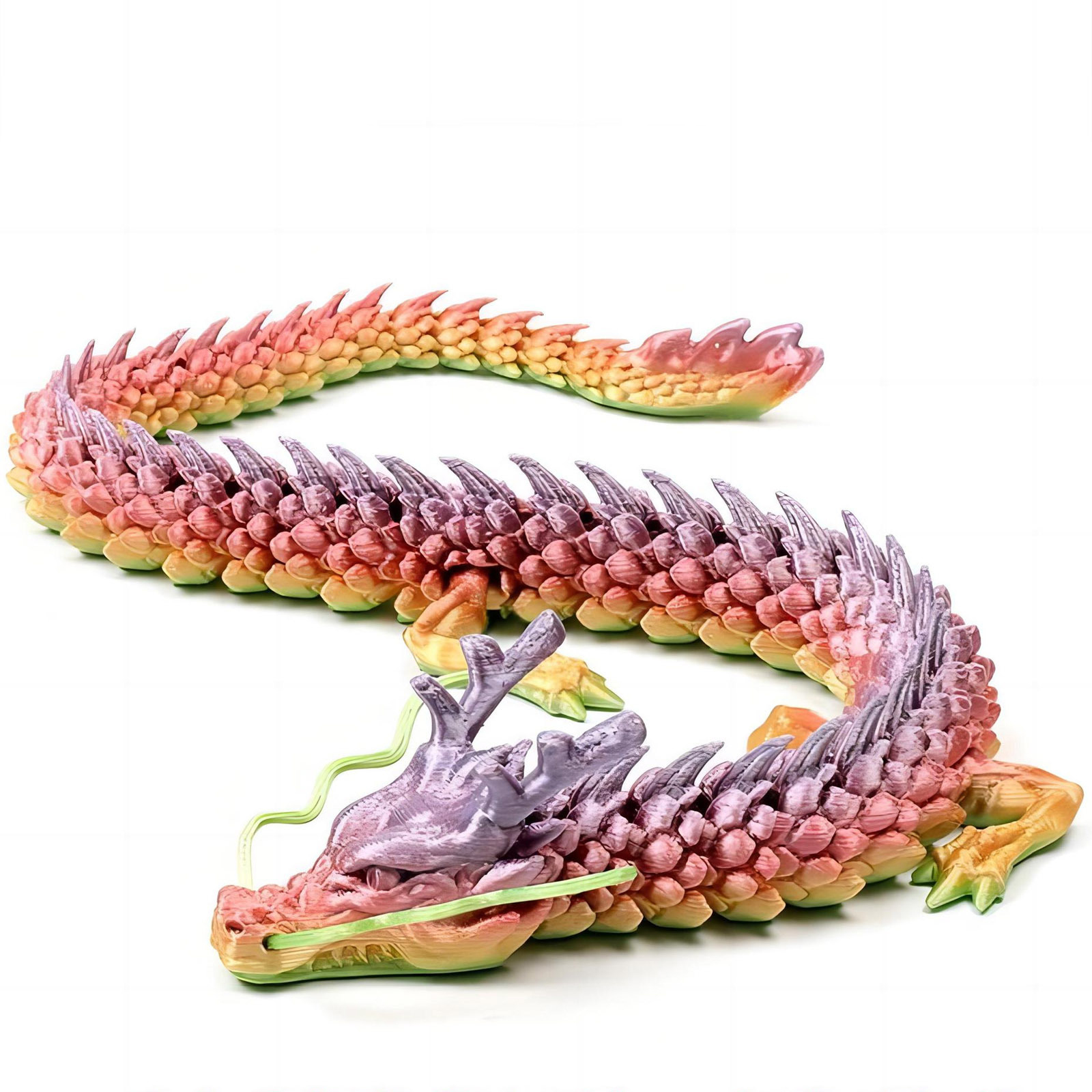 3D Printed Conjoined Dragon Or - Aquarium Plants Book 评论和价格