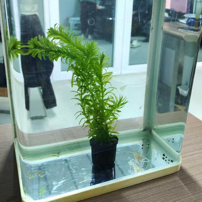 4Pcs Pet Fish Tank Landscaping - Aquarium Plants 评论和价格