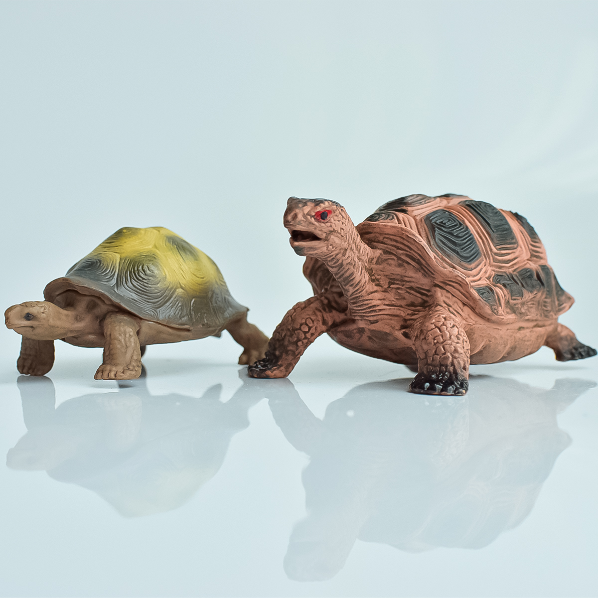 Painted Realistic Animal Turtl - Aquarium Plants 评论和价格