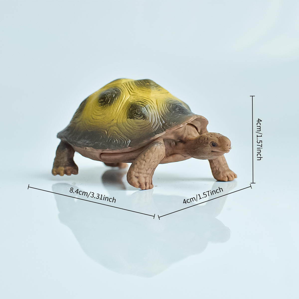 Painted Realistic Animal Turtl - Aquarium Plants 评论和价格