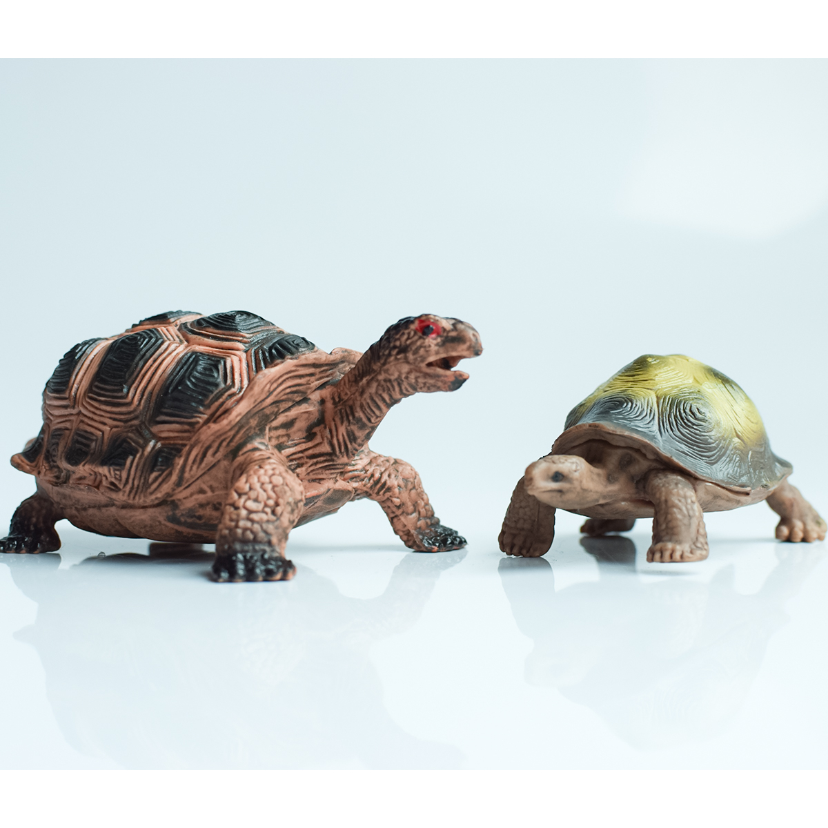 Painted Realistic Animal Turtl - Aquarium Plants 评论和价格