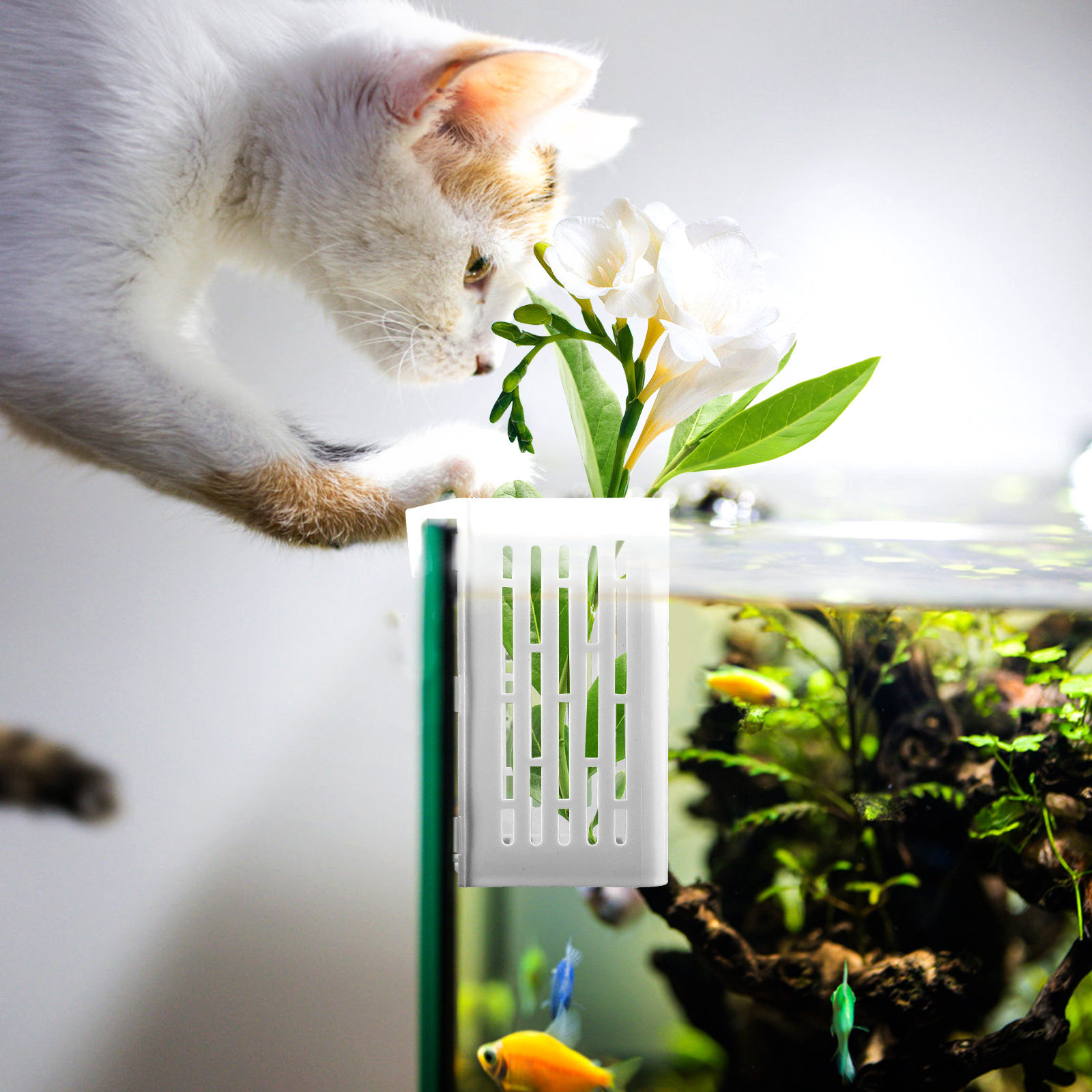 2Pcs Aquatic Plant Holder Hang - Aquarium Planted Tank Setup 评论和价格