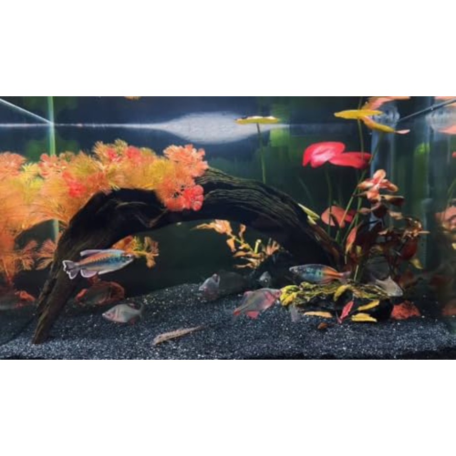 Aquarium Sand, 0 Fish Tank San - Aquarium Plant Gravel 评论和价格