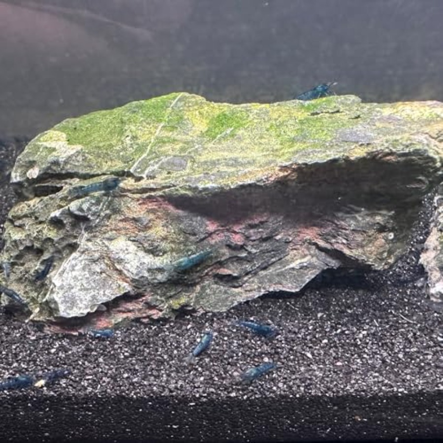 Aquarium Sand, 0 Fish Tank San - Aquarium Plant Gravel 评论和价格