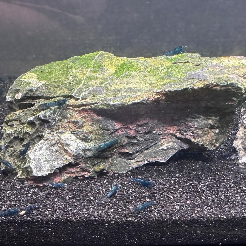 Black Aquarium Sand 2lbs, Fine - Aquarium Plant Gravel 评论和价格