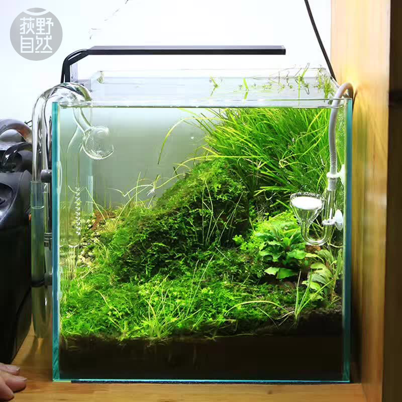 Chihiros C series ADA style Pl - Planted Aquarium Ada 评论和价格