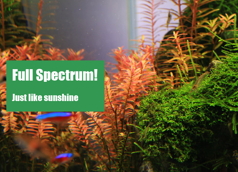 Chihiros C series ADA style Pl - Planted Aquarium Ada 评论和价格