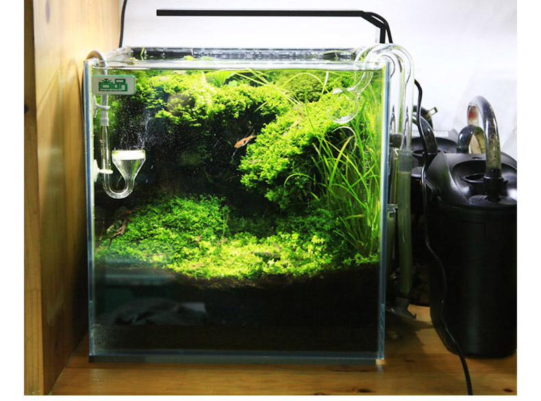 Chihiros C series ADA style Pl - Planted Aquarium Ada 评论和价格