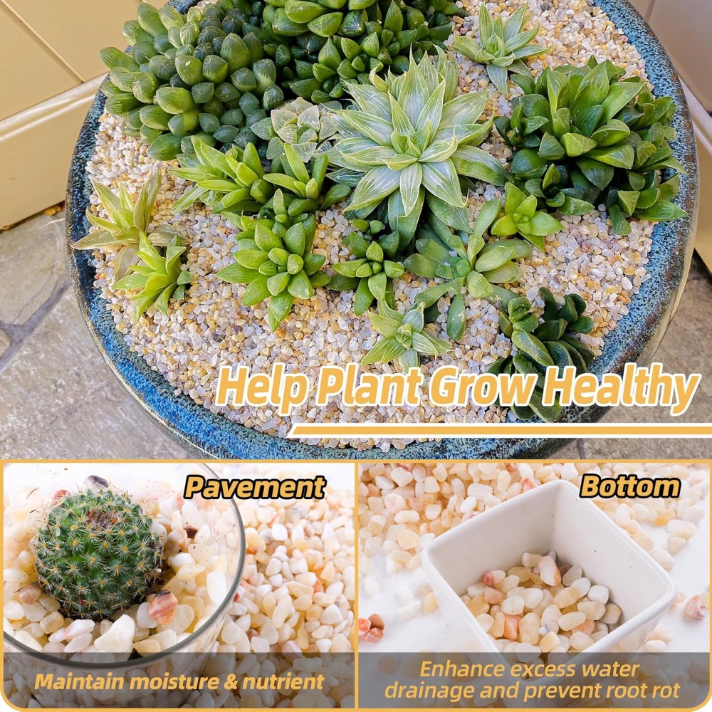 2.4lb Natural River Rocks for  - Aquarium Plant Gravel 评论和价格