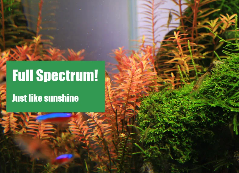 Chihiros C Series ADA Style Pl - Planted Aquarium Ada 评论和价格