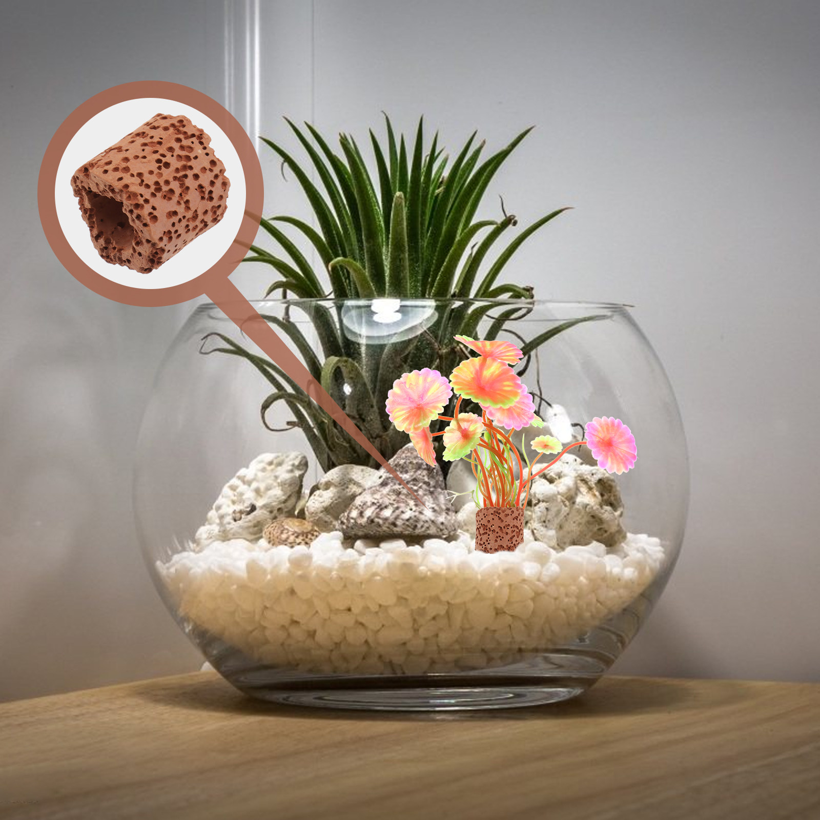 10Pcs Creative Water Plant Fix - Aquarium Planted Tank Setup 评论和价格