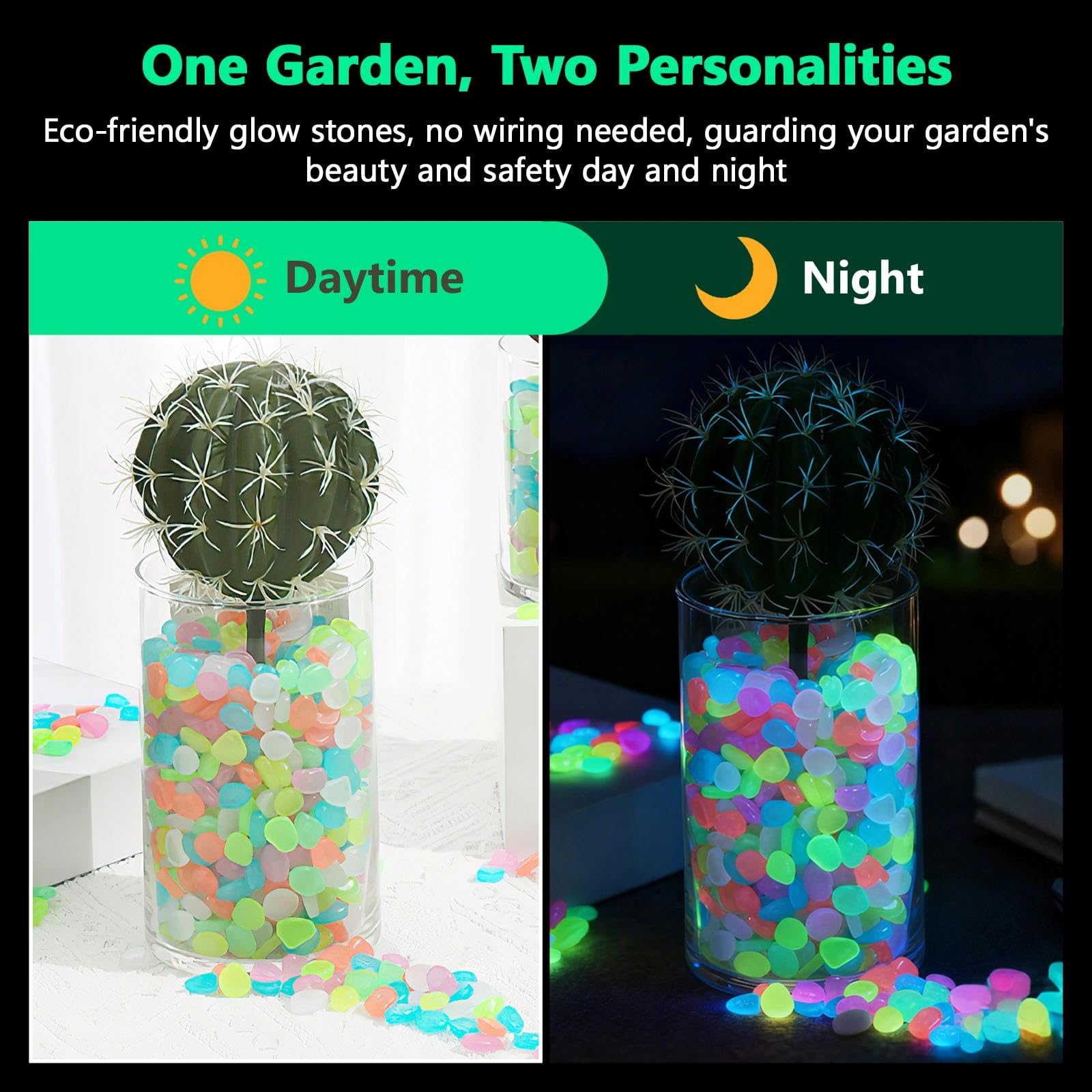 Potted Plants Glow In The Dark - Aquarium Planting Ideas 评论和价格