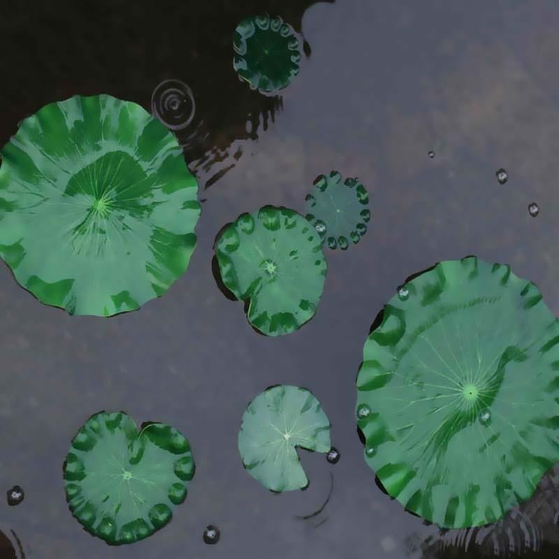 2026 Artificial Water Lily Lot - Aquarium Plants Book 评论和价格
