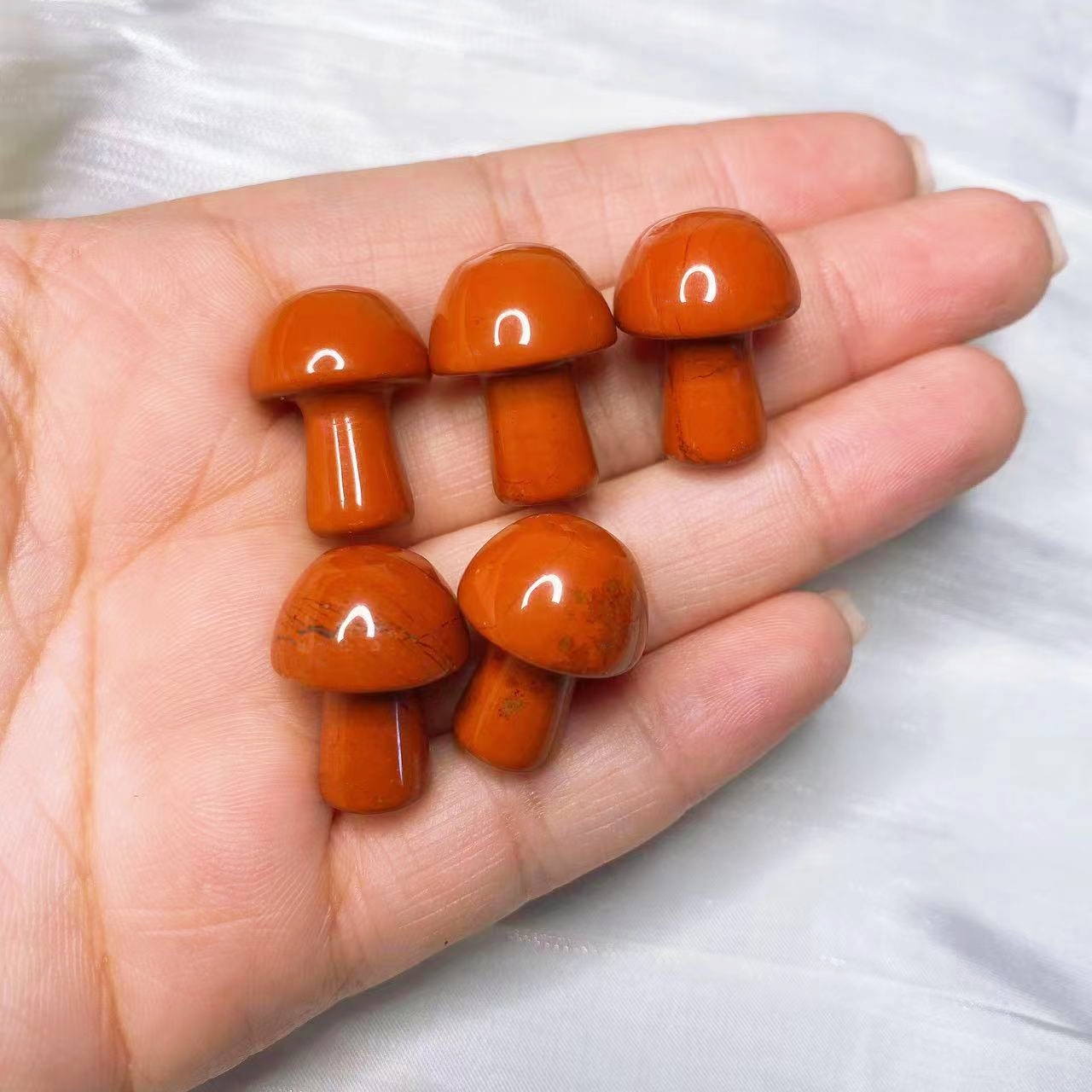 Natural Crystal Mini Mushroom  - Aquarium Planting Ideas 评论和价格