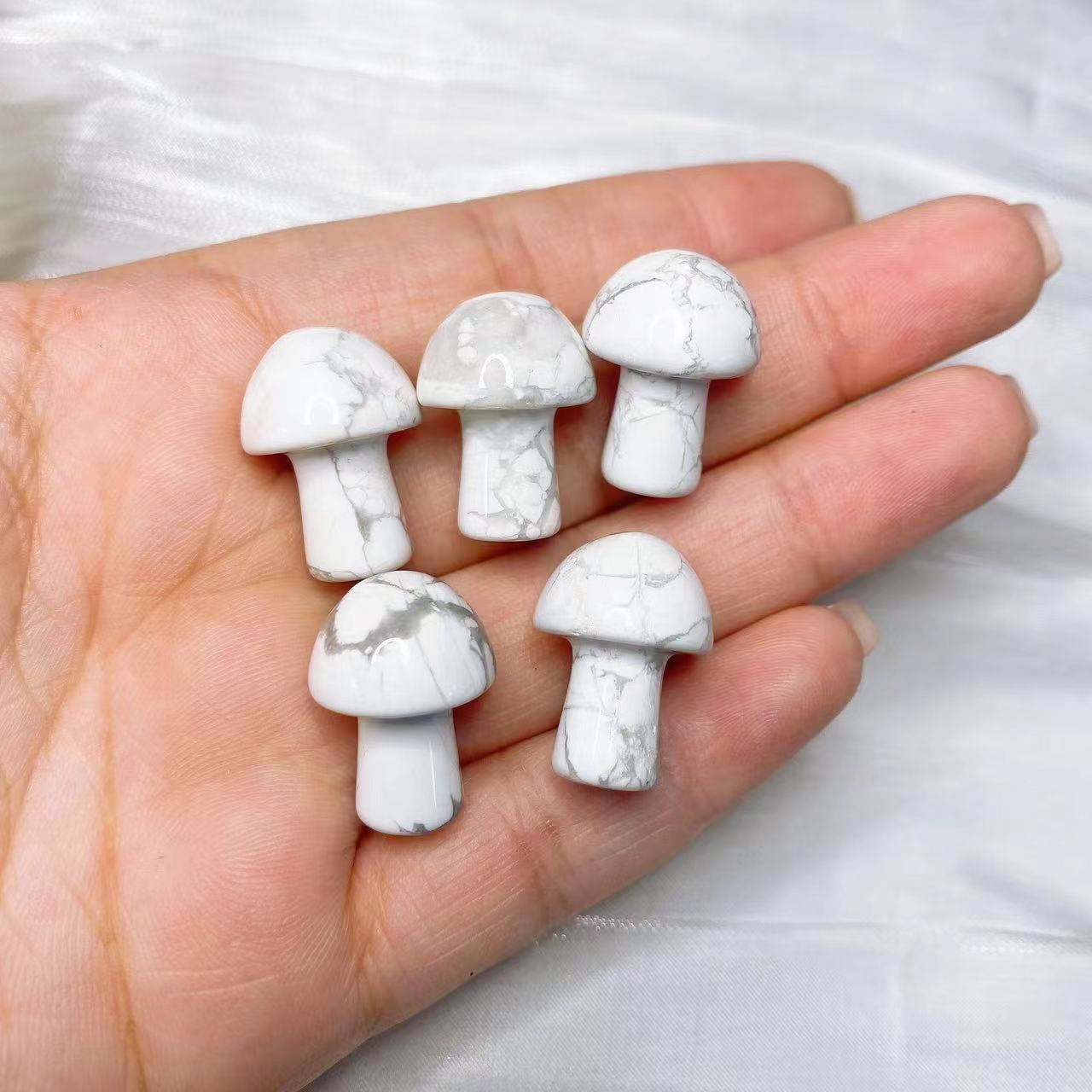 Natural Crystal Mini Mushroom  - Aquarium Planting Ideas 评论和价格