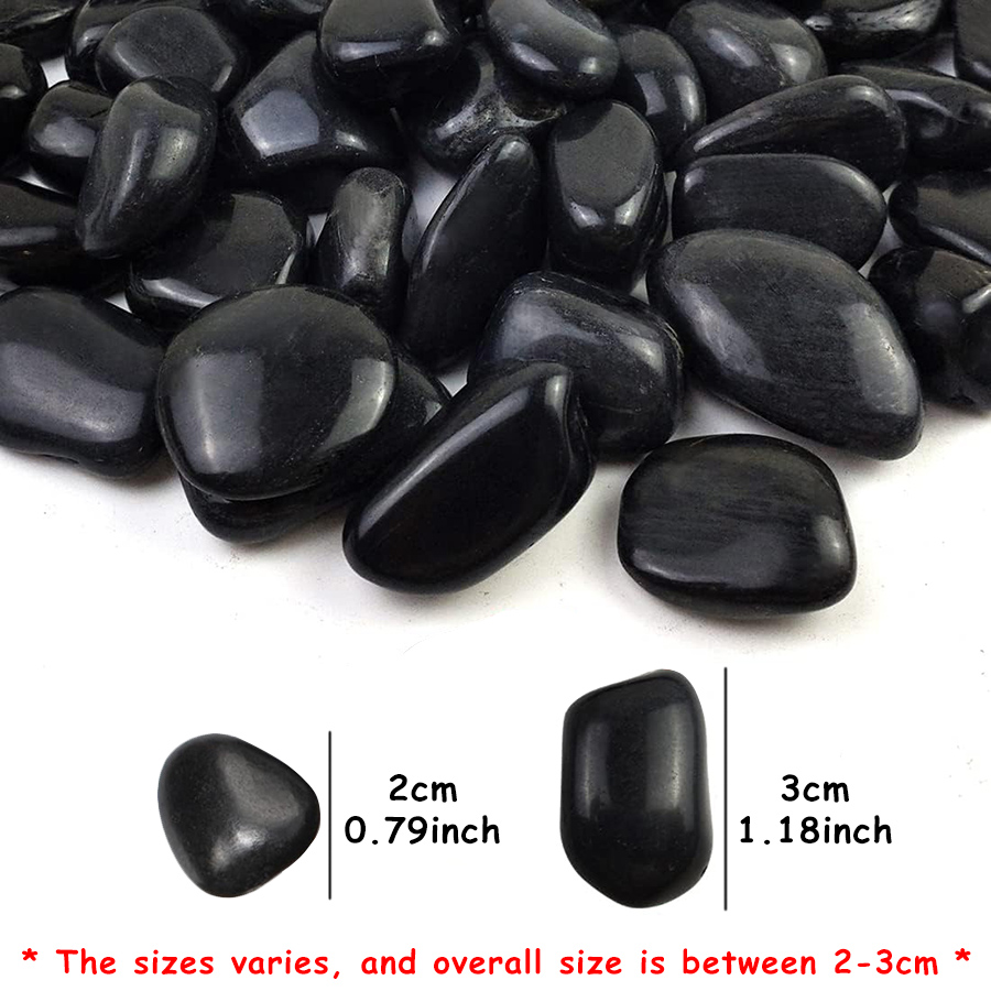 200g Black High Polished Natur - Aquarium Planting Ideas 评论和价格