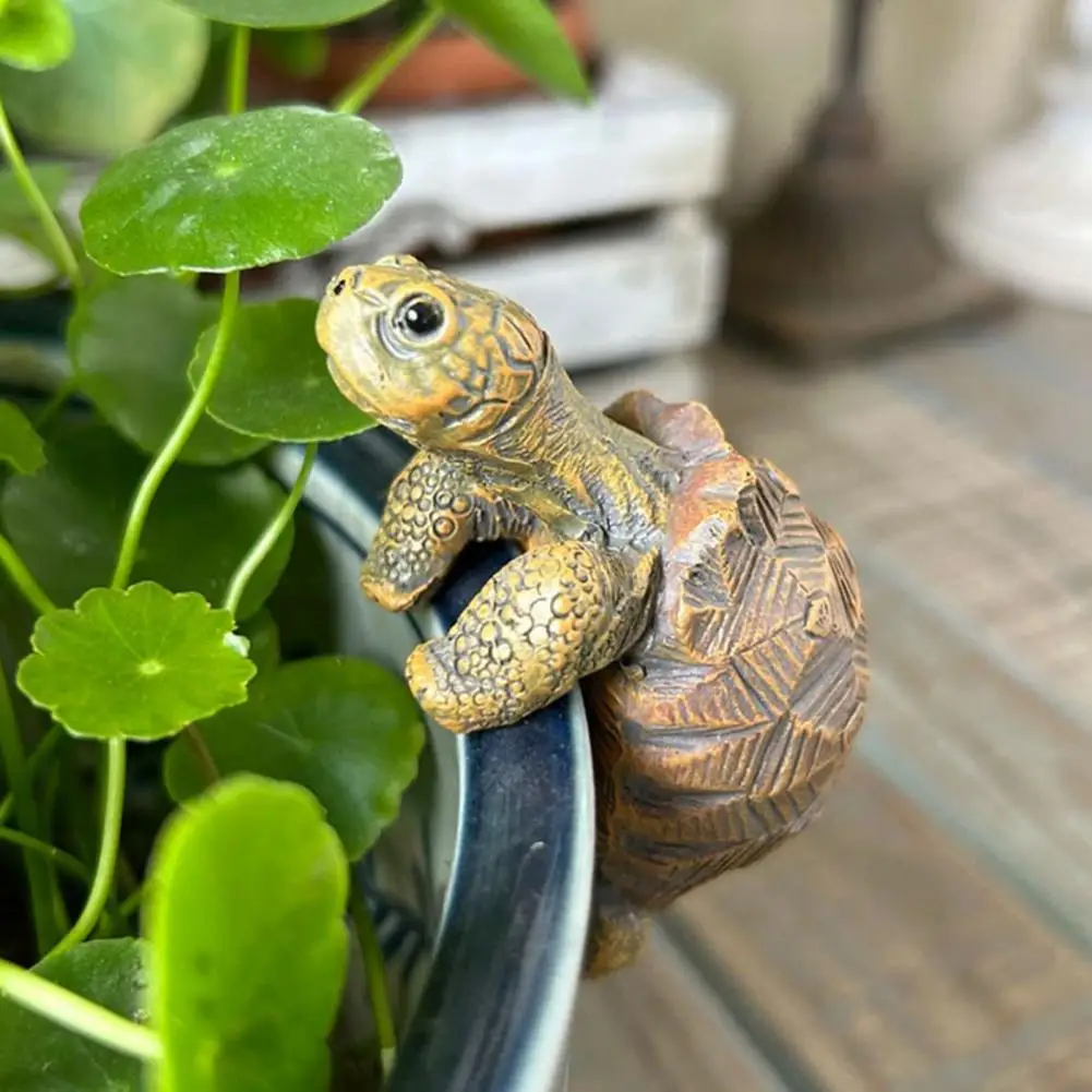 Fishing Turtle Hanging Turtle  - Aquarium Plants 评论和价格