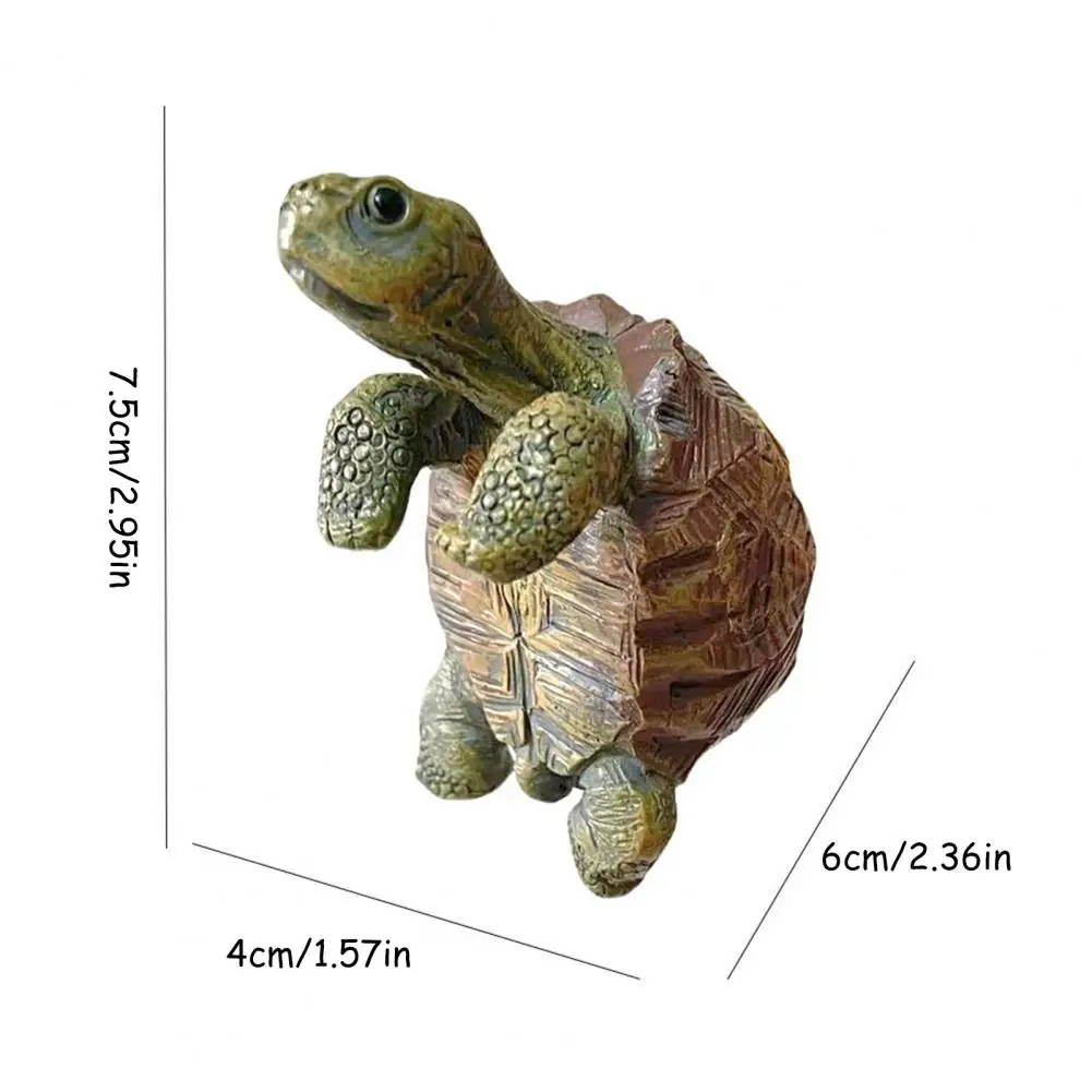 Fishing Turtle Hanging Turtle  - Aquarium Plants 评论和价格