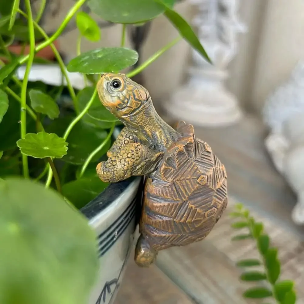 Fishing Turtle Hanging Turtle  - Aquarium Plants 评论和价格