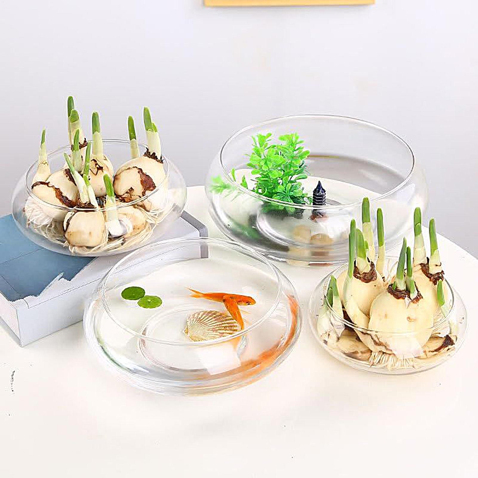 Fish Glass Bowl Glass Large Hy - Aquarium Plants 评论和价格