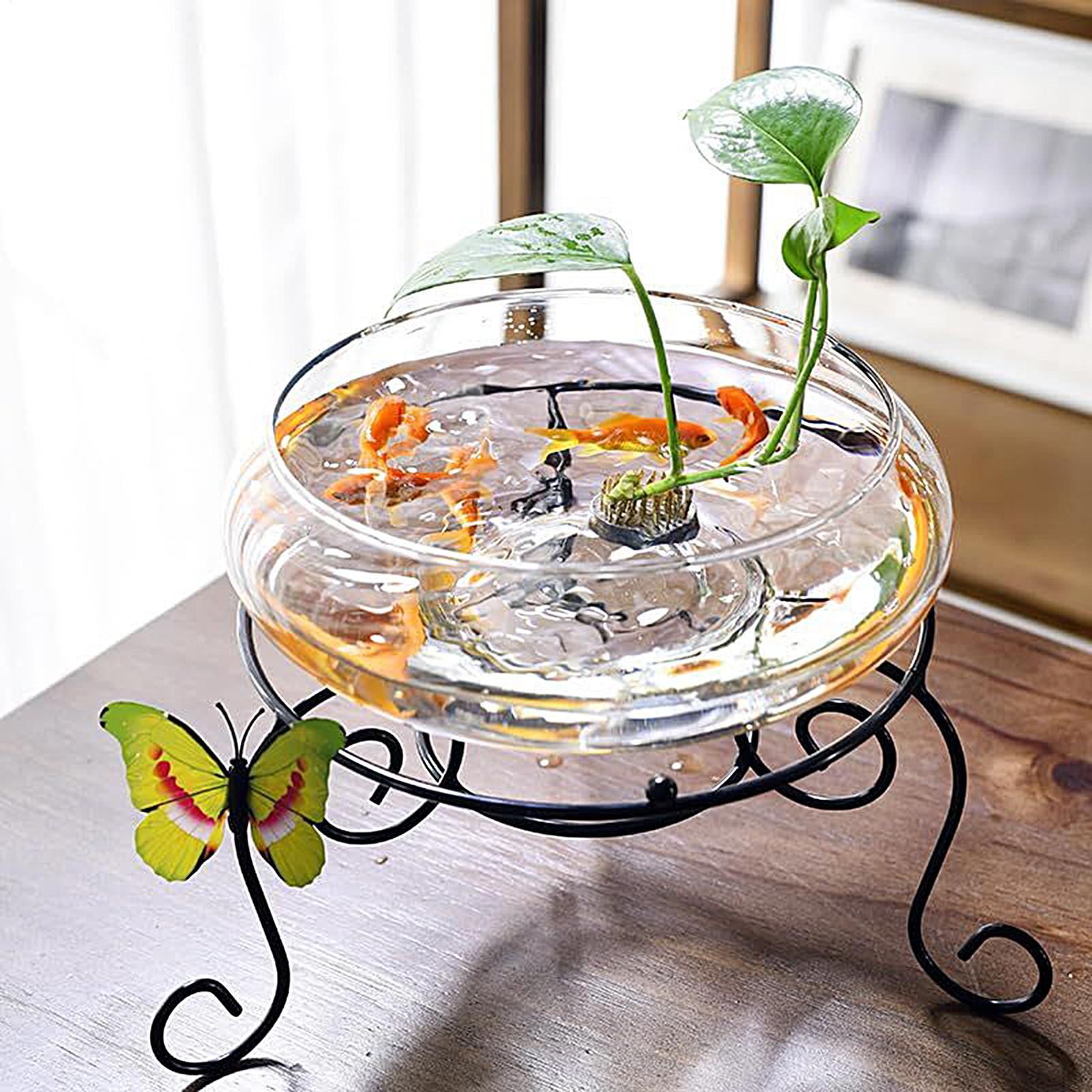 Fish Glass Bowl Glass Large Hy - Aquarium Plants 评论和价格