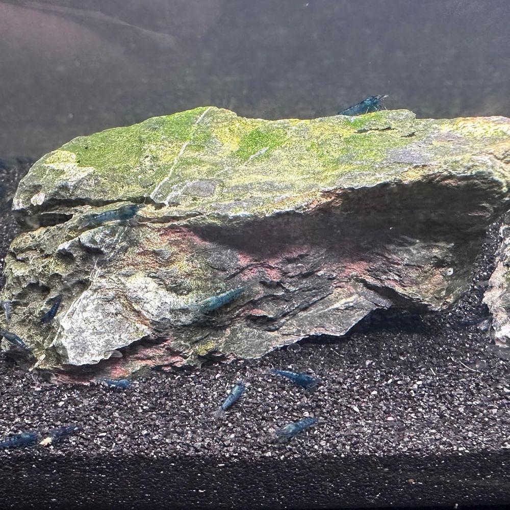 YISZM Aquarium Sand, 20lbs Bla - Aquarium Plant Gravel 评论和价格