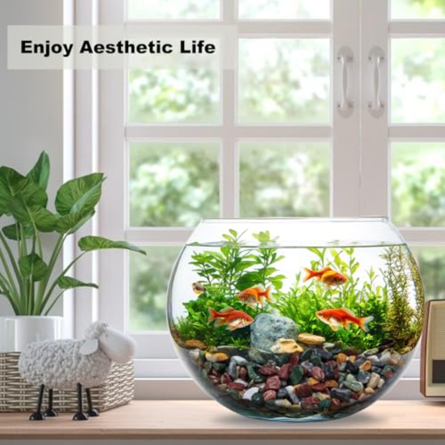 45LB Succulents Rocks for Plan - Aquarium Plant Gravel 评论和价格