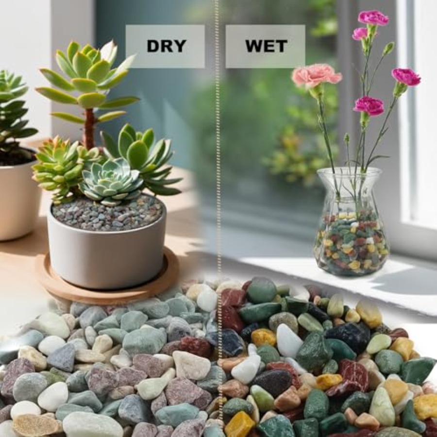 45LB Succulents Rocks for Plan - Aquarium Plant Gravel 评论和价格