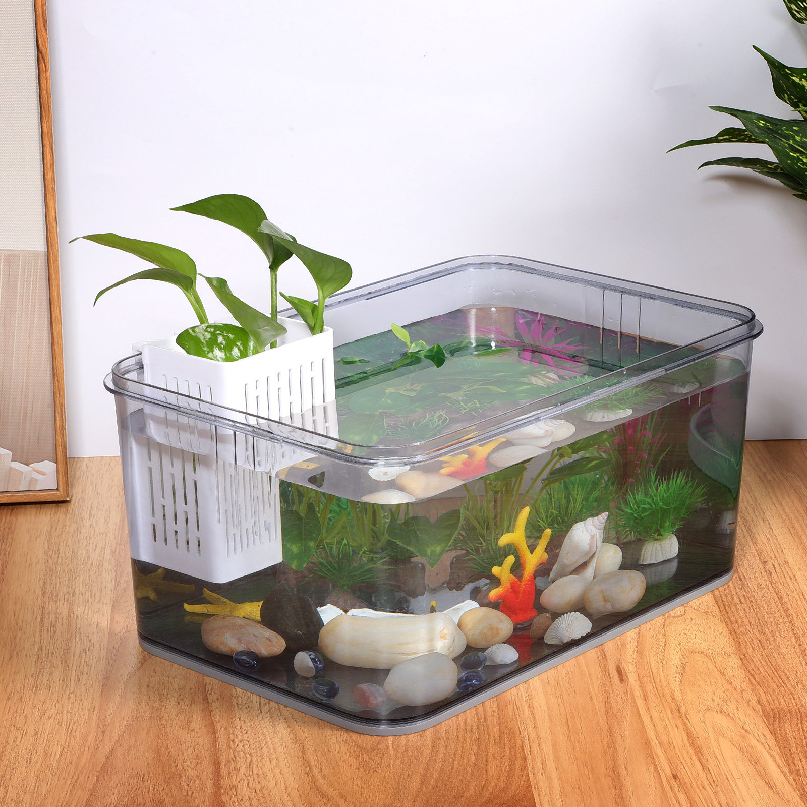 2pcs Aquarium Plant Baskets Pl - Aquarium Plants 评论和价格