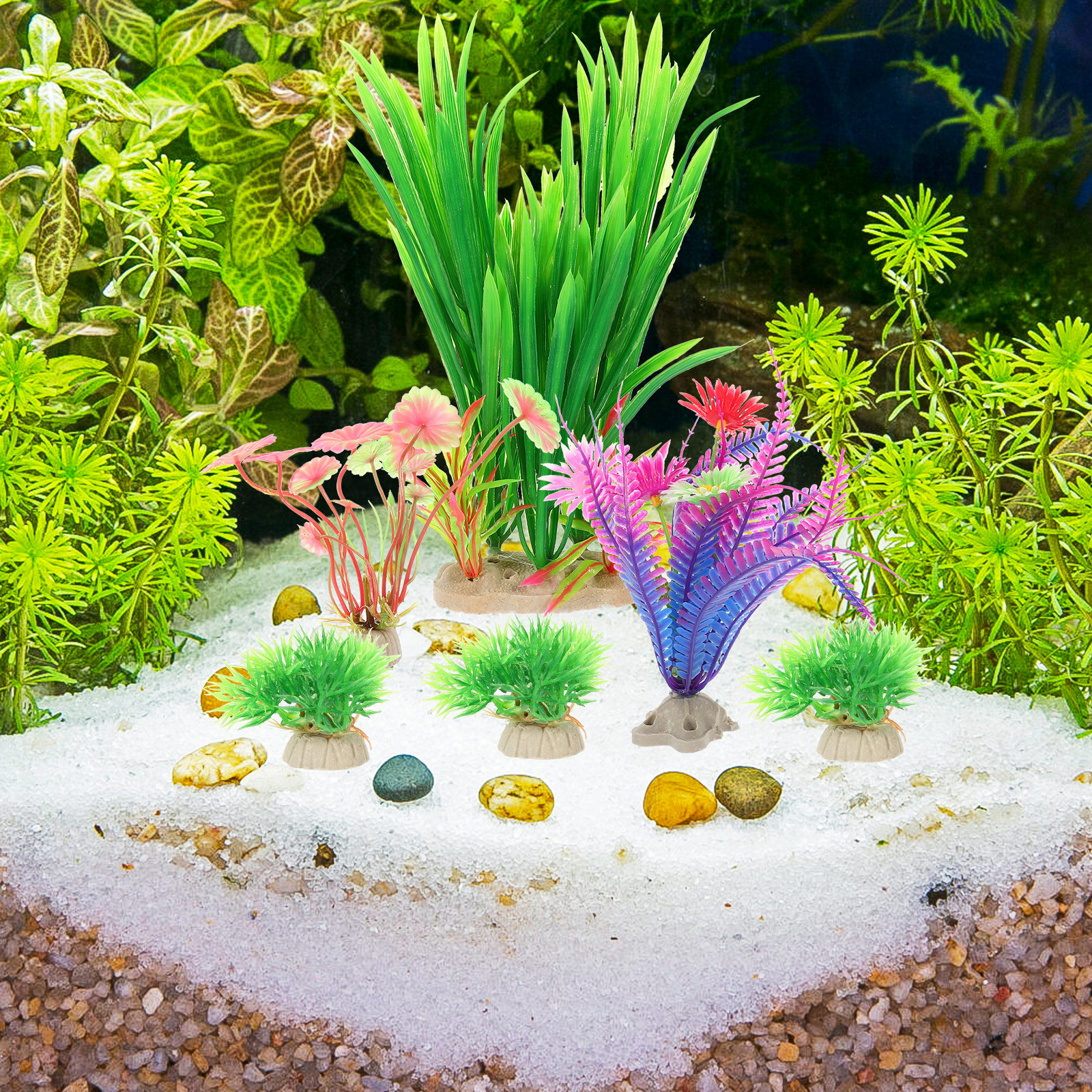 8Pcs Lifelike Plastic Aquatic  - Aquarium Planted Tank Setup 评论和价格
