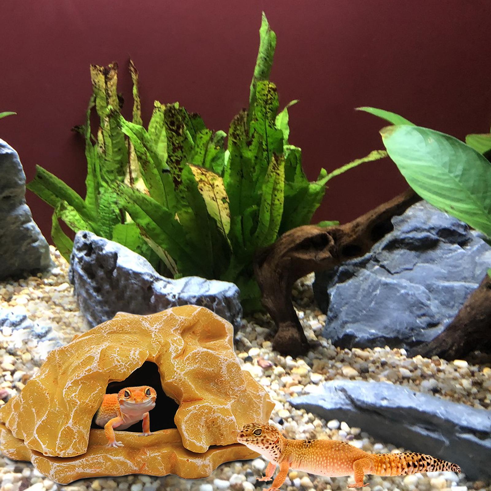 Lizard House Terrarium Resin F - Aquarium Planting Ideas 评论和价格