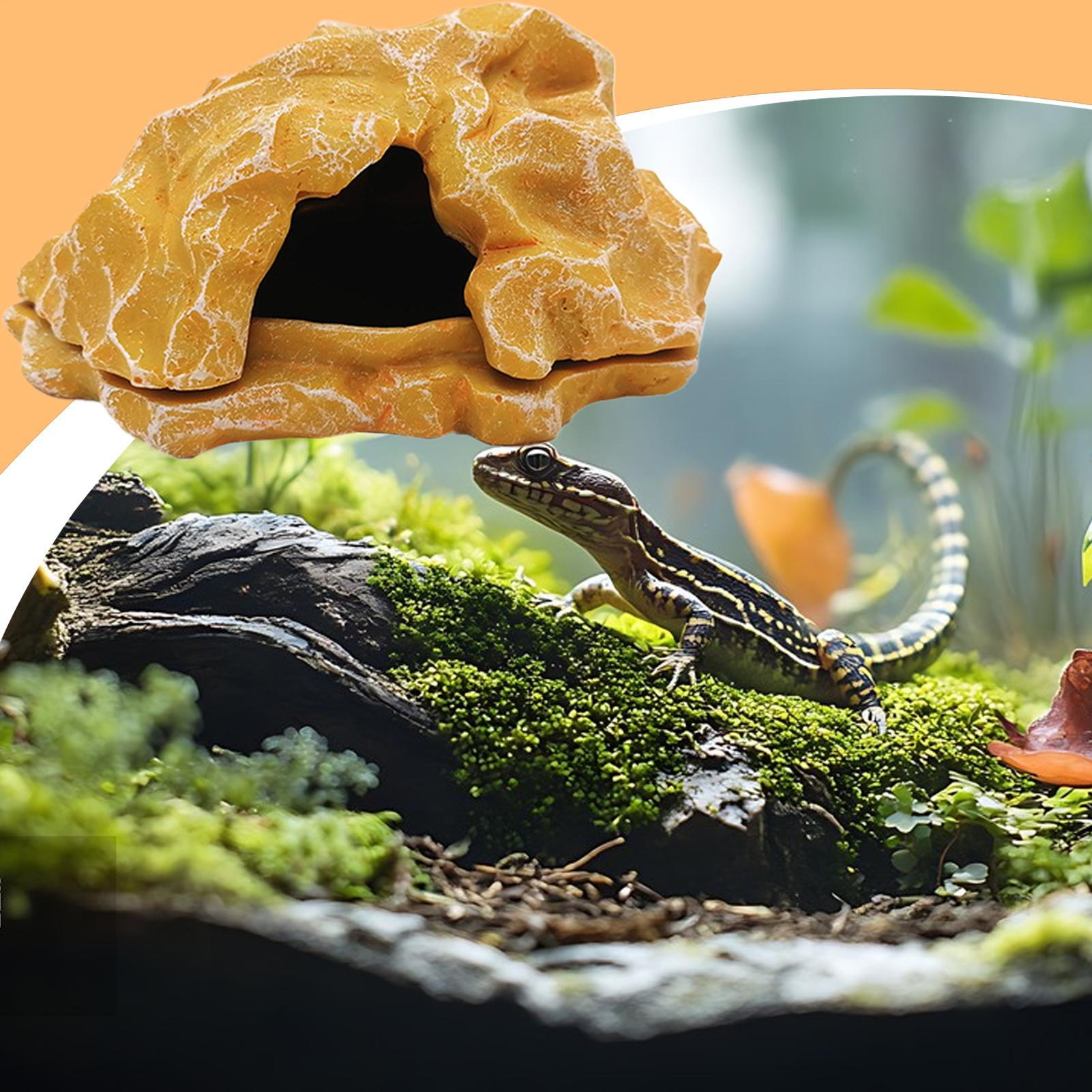 Lizard House Terrarium Resin F - Aquarium Planting Ideas 评论和价格