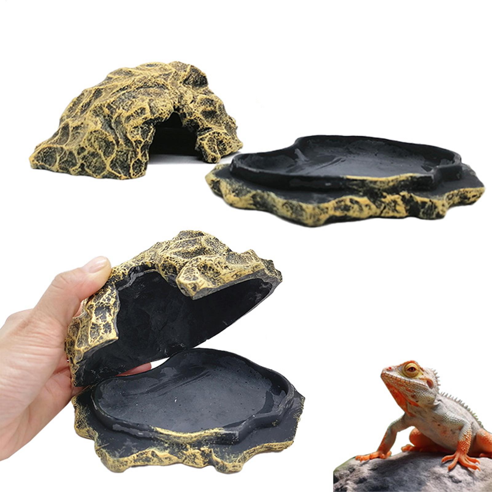 Lizard House Terrarium Resin F - Aquarium Planting Ideas 评论和价格