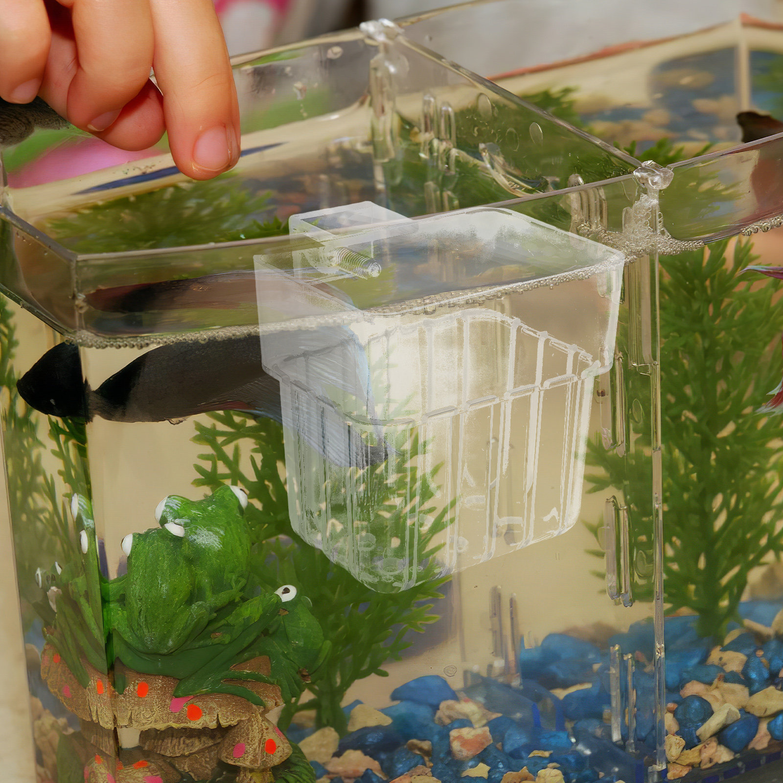 8Pcs Aquarium Planter Cups: Cl - Aquarium Planted Tank Setup 评论和价格