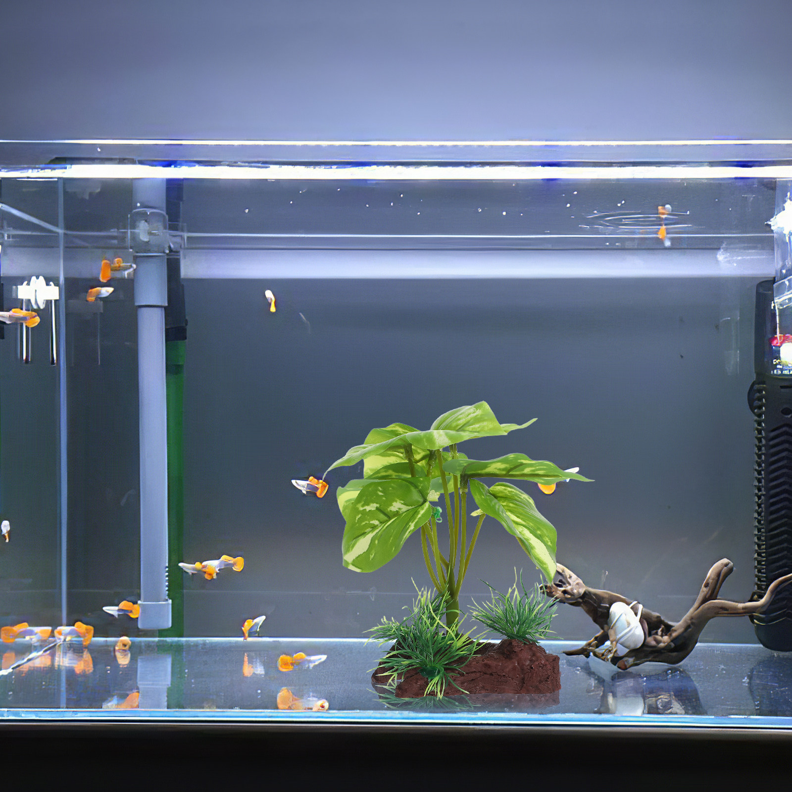 Premium Artificial Aquarium Pl - Aquarium Planted Tank Setup 评论和价格