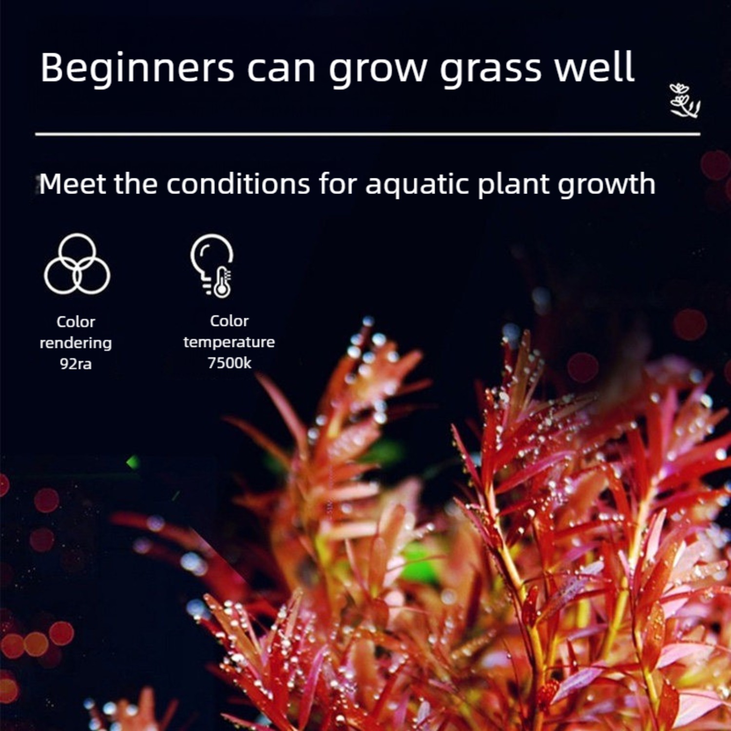 LED Aquarium Light for 12 Inch - Planted Aquarium Freshwater 评论和价格