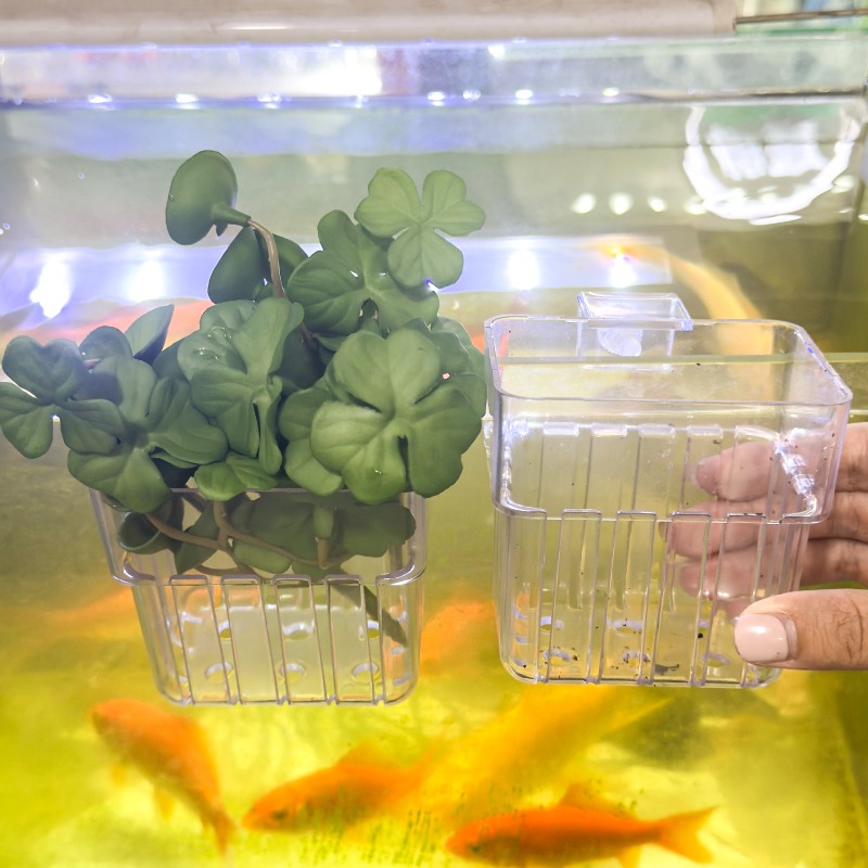 1/5pcs Aquarium Decoration Pla - Aquarium Plants 评论和价格