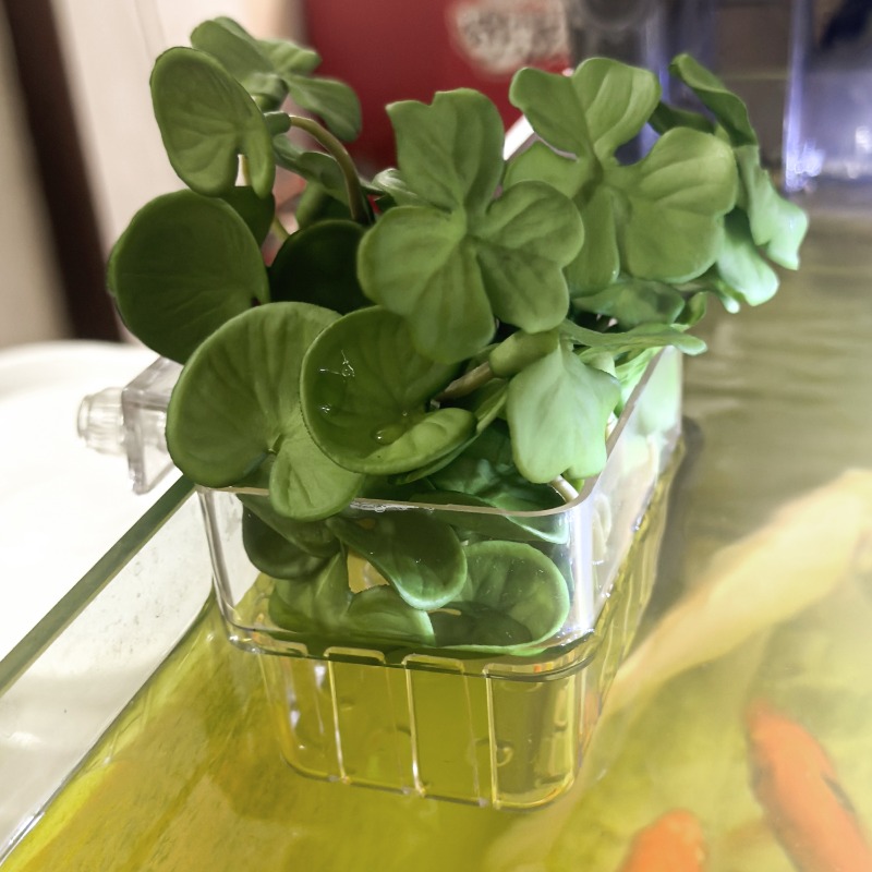 1/5pcs Aquarium Decoration Pla - Aquarium Plants 评论和价格