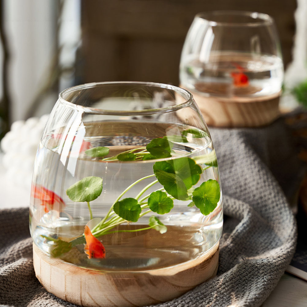 1Set Wooden Base Glass Hydropo - Aquarium Plants 评论和价格