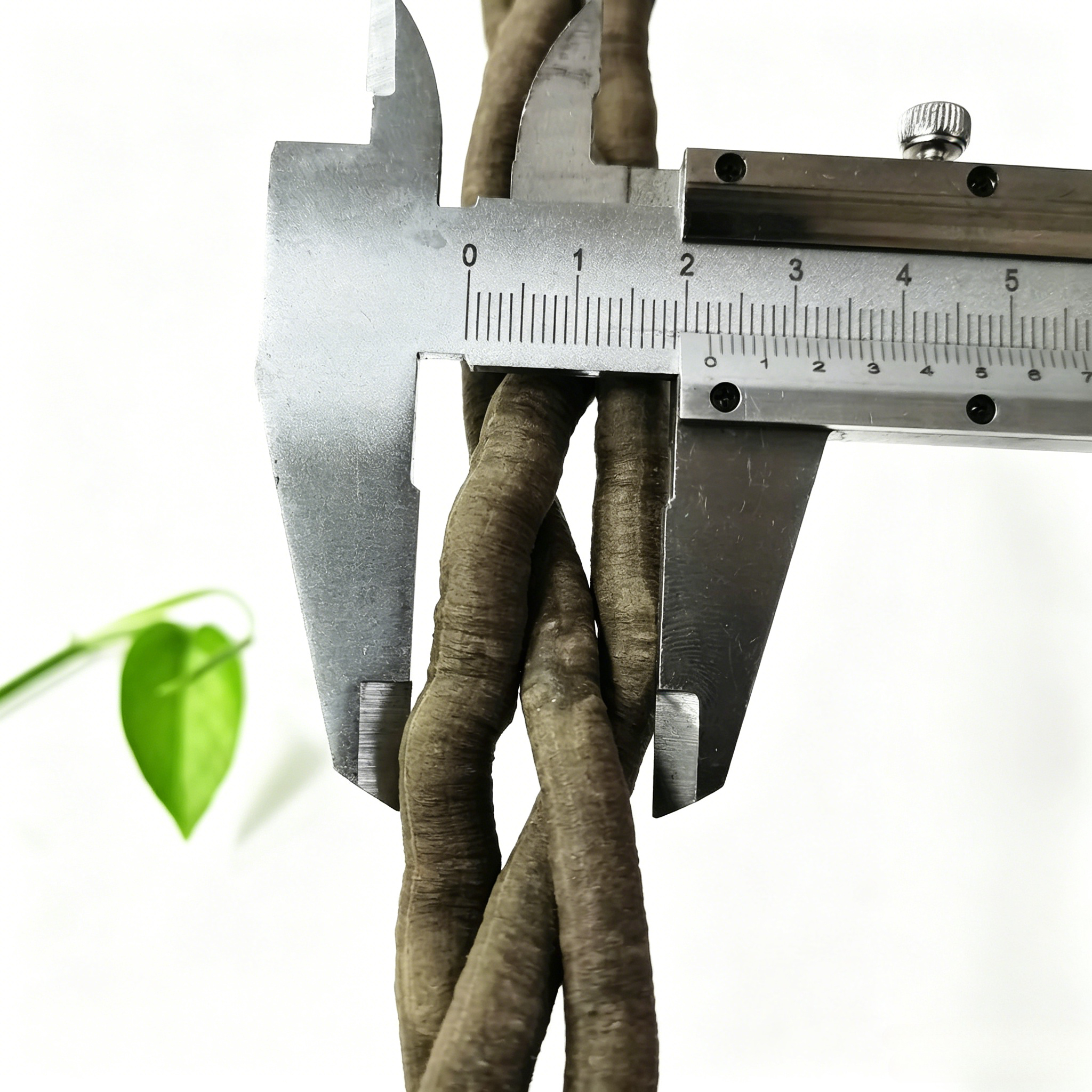 100cm Artificial Vine Plant Cl - Aquarium Plants Book 评论和价格